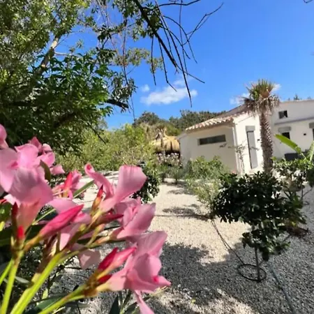 Сasa de vacaciones Exklusive Moderne Mit Pool