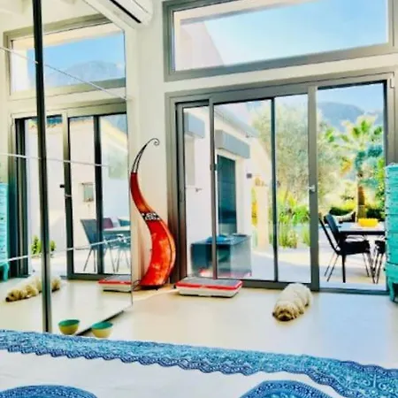 Exklusive Moderne Mit Pool *